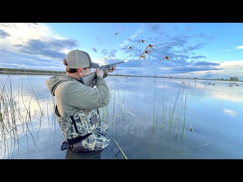 This Slough was Loaded with Ducks! (Duck Hunting)