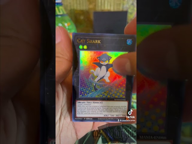 Vídeo relacionado con Yu-Gi-Oh! JUEGO DE CARTAS COLECCIONABLES, Holiday Box - Magnificent Mavens