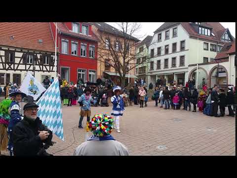 WiWa-Lokal.de - Die Narren verteidigen sich in Wiesloch