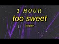 Hozier - Too Sweet (Lyrics) | i'd rather take my whiskey neat | 1 hour