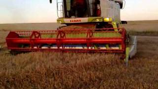 preview picture of video 'Claas Lexion 540C Olaszfalu 20090727-073'