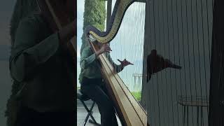 Eleonora Zanetti Harp