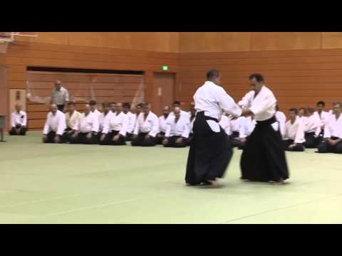 Argentina - 11th International Aikido Federation Congress in Tokyo - Demonstrations