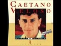 Caetano Veloso O estrangeiro