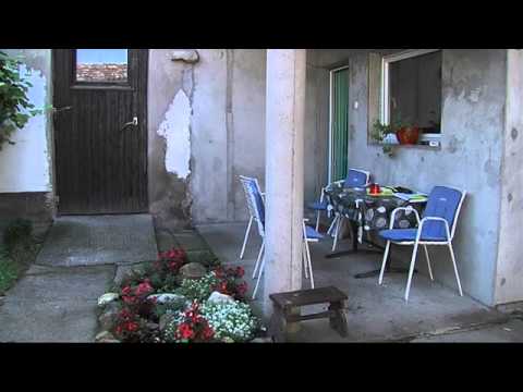 SBTV / SB INFO - Ubojstvo u Bebrini / 09.08.2014.