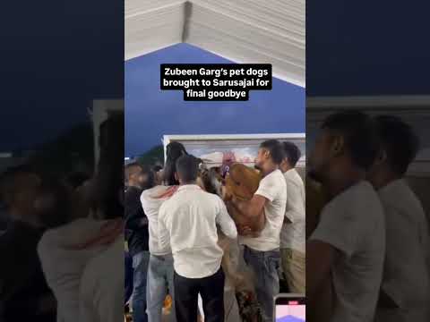 Zubeen Garg’s pet dogs brought to Sarusajai for final goodbye | GPlus