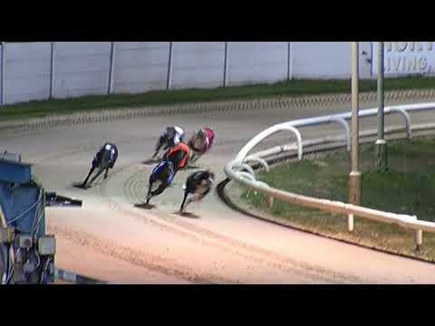 2017 WILLIAM HILL ALL ENGLAND CUP - 1ST SEMI - T2 DROOPYS EXPERT