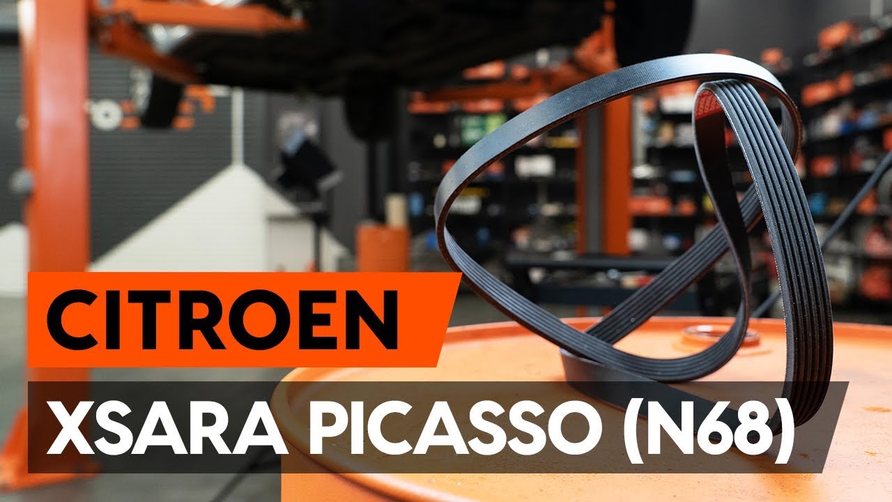 Come cambiare cinghia poly-V su Citroen Xsara Picasso - Guida alla sostituzione