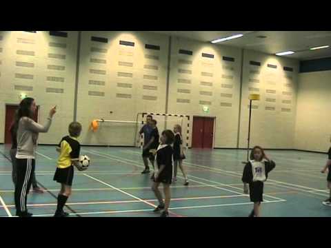 DIE HAGHE D3  -  EXCELSIOR D1