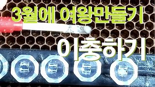 3월에 여왕만들기, 이충하기(3. 11)