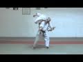 Enpi Bunkai Karate For The Elite Athlete JKA Karate Shotokan WKF Learn Karate