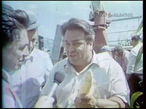 Украина. Донецкая обл. Уборка кукурузы. Заготовка комов 22.08.1988