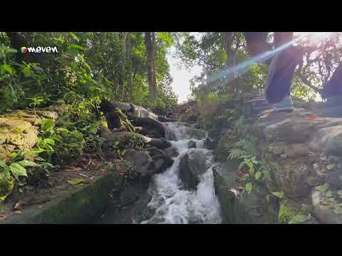 El Parque Nacional Yurubí, ubicado en el estado Yaracuy