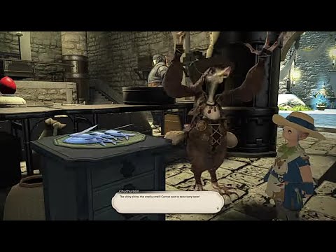 Final Fantasy XIV (FF14): Fishing Quest level 15: Every Fish Has a Silver Lining