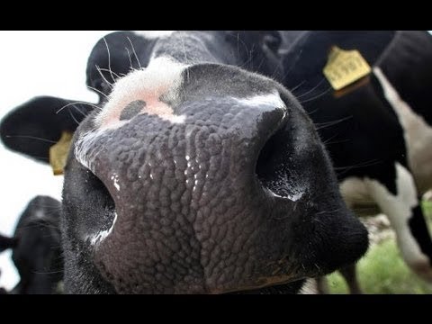 Todesfalle Internet - N24 Dokumentation [DokuExtrem]