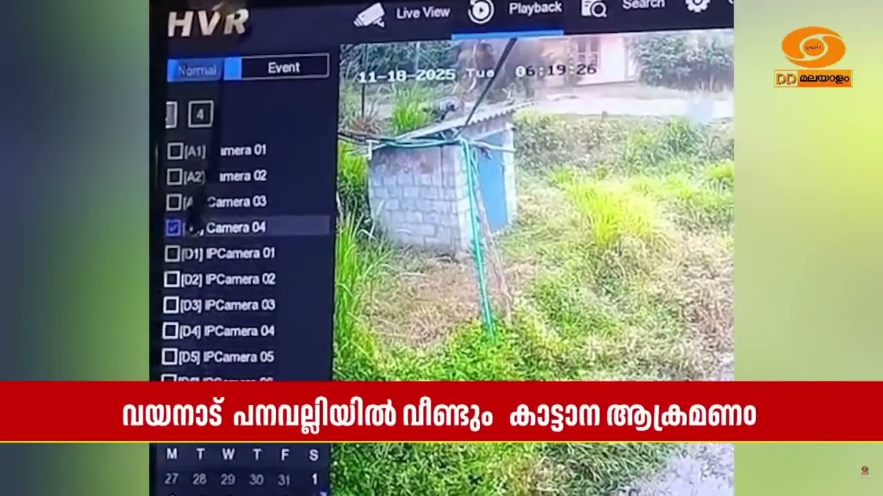 വയനാട് പനവല്ലി അപ്പപ്പാറ റോഡിൽ കാട്ടാന ആക്രമണത്തിൽ