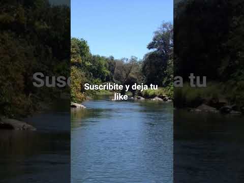 Cañas Guanacaste Costa Rica