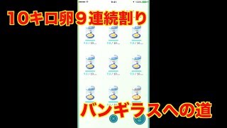【ポケモンGO】１０キロタマゴを９連割り　バンギラスはいつになる？