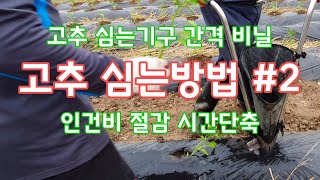 고추 심는방법 #2 고추심는기구 이용 심는간격 비닐 [고추재배방법]