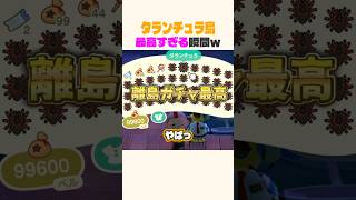 タランチュラ島が楽しすぎるw #あつ森