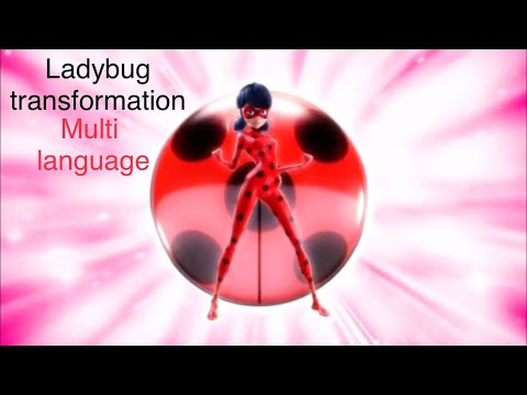 Ladybug transformation (multi language) 40 VERSIONS