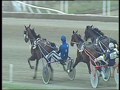 Trotto 05/02/2017 - 2ª corsa