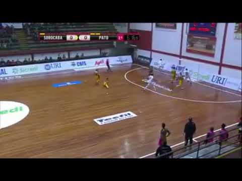 Magnus 2x3 pato branco