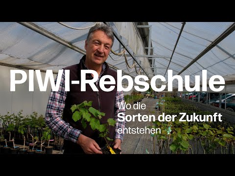 Die PIWI-Rebschule Freytag: Wo die Traubensorten der Zukunft entstehen