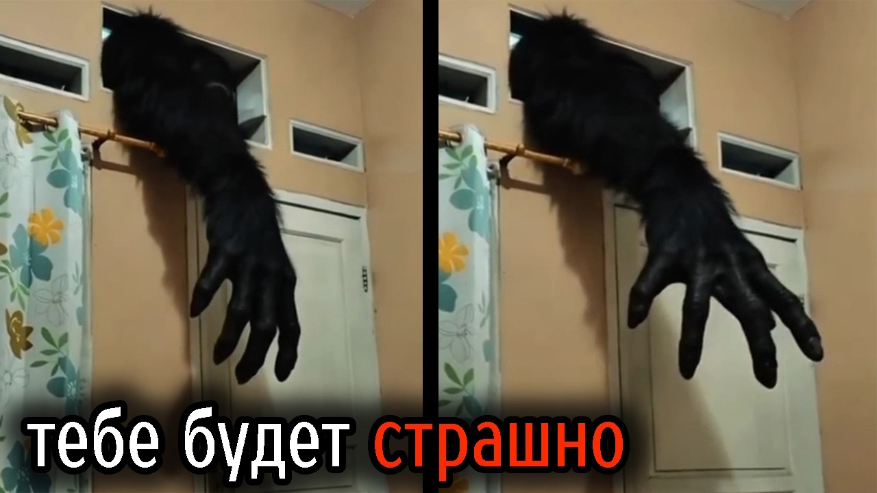 Самые Ужасные Видео со Всего Мира #98