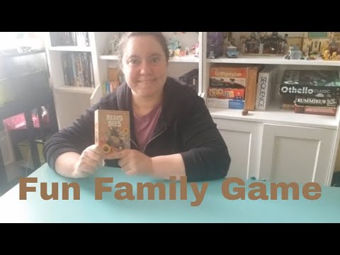 The Bears and the Bees Game