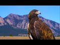 Enigma Sadeness Cinematic Music Video