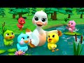 Learn Colors With 5 Rainbow Ducks Newborn Baby Songs Nursery Rhymes