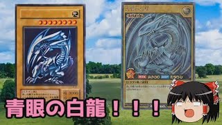 【遊戯王】ラッシュデュエルにより登場したイラスト違い紹介　その1【ゆっくり解説】