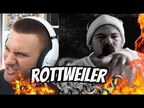 dieser TRACK kommt so HART!! TJ_beastboy - ROTTWEiLER - MATHEMATIC-RAPADDICT EP - REACTION