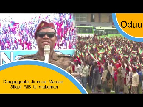 Dargaggoota Jimmaa Marsaa 3ffaaf RIB tti makaman