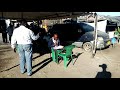 DAMIAN NDIMBO MDAHALO QUR AN NI MANENO YA NANI PART 1
