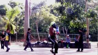 preview picture of video 'Harlem Shake / Parkour Caricuao / 2013'