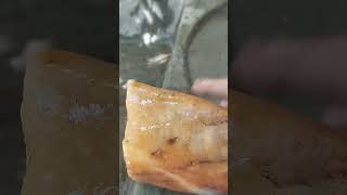 AS AVENTURAS DE ZÉ) EPISÓDIO 3 A ORIGEM DE ZÉ