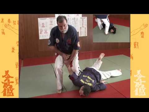 Kyusho-Jitsu Anatomy - Pressure Points by Jean Paul Bindel 9.Dan DVD Trailer VPM-126