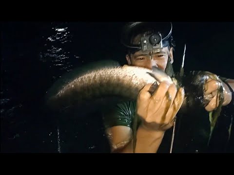 SE02EP01 - IMAW NA DALAG!