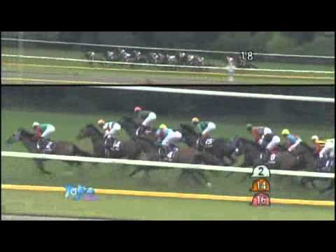 61st 安田記念 東京競馬場 GI 1,600m 柴