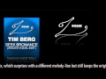 Tim Berg - Seek Bromance (Samuele Sartini ...