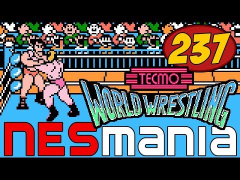 237/714 Tecmo World Wrestling - NESMania