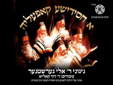 Dudi Kalish - V'atoh Kisvu🕊