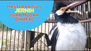 Download lagu MASTERAN MEWAH UNTUK JALAK SUREN SUARA UNIK KOMPLIT FULL ISIAN mp3