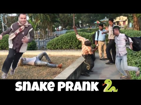 SNAKE PRANK || [ MOUZ PRANK ] || FIRST TIME IN KOLKATA || PRANK VIDEO Video