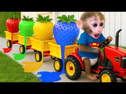 El bebé mono Bonbon cosecha frutas de arcoíris y hace palomitas de maíz.