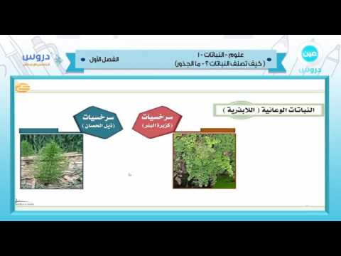 الخامس الإبتدائي | الفصل الدراسي الأول 1438 | علوم | النباتات 1