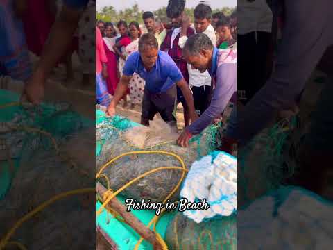 Fishing in Veerampattinam beach Pondicherry | fish market
