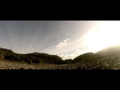 There Is No Remaining In Place - Dragonfly Collector [Official Video]